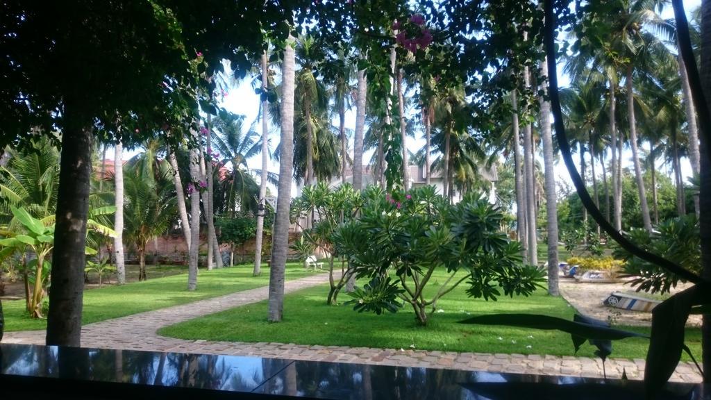 Catsen Bungalows & Rooms Mui Ne Exteriör bild